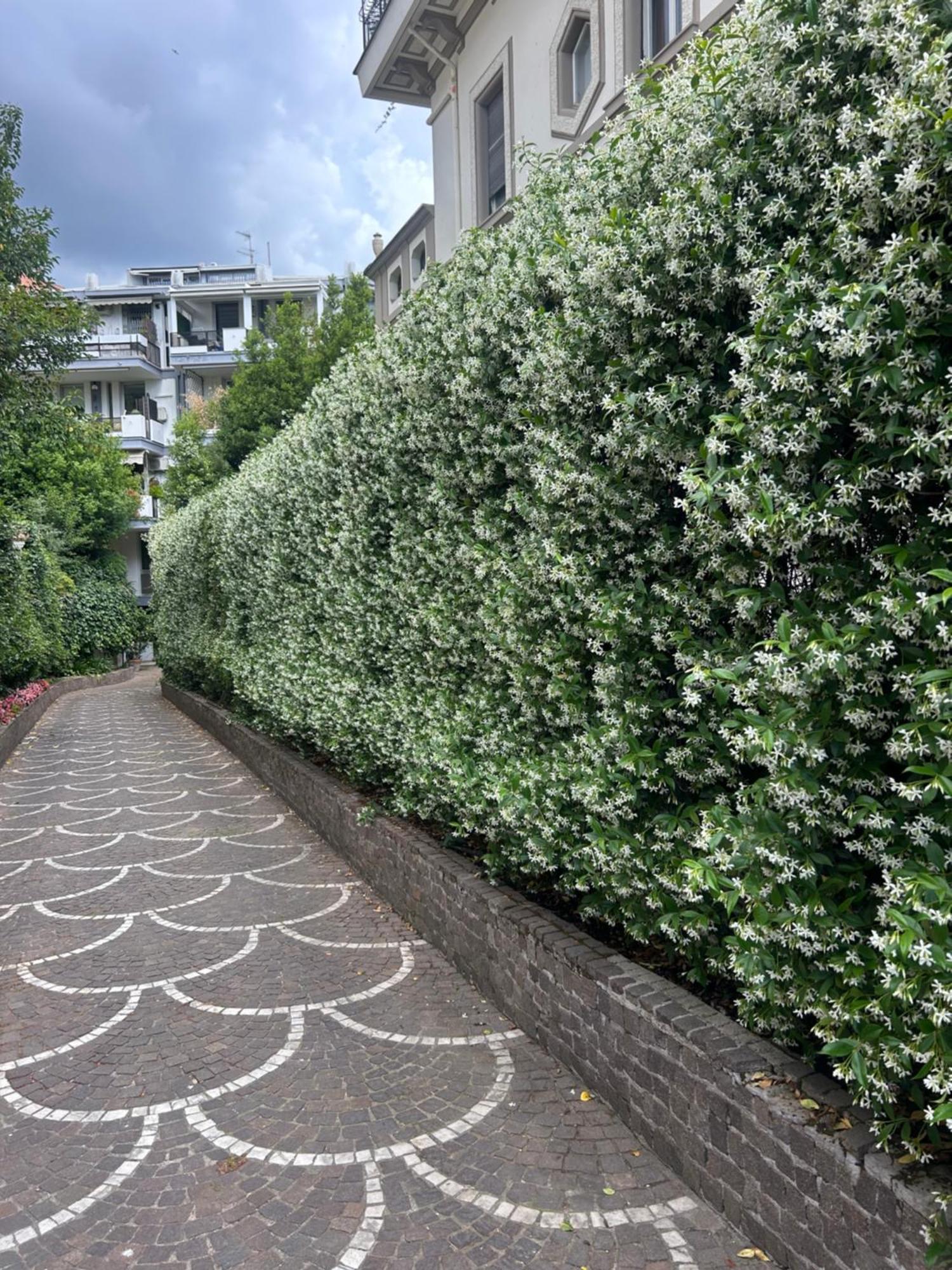 Borghese Luxury Appartamento *